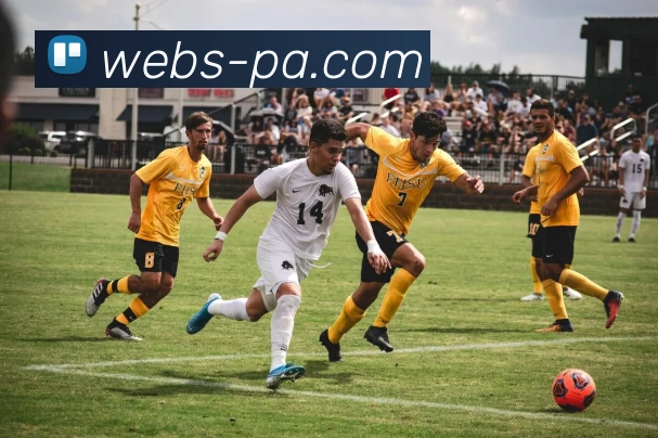 多媒体互动体验