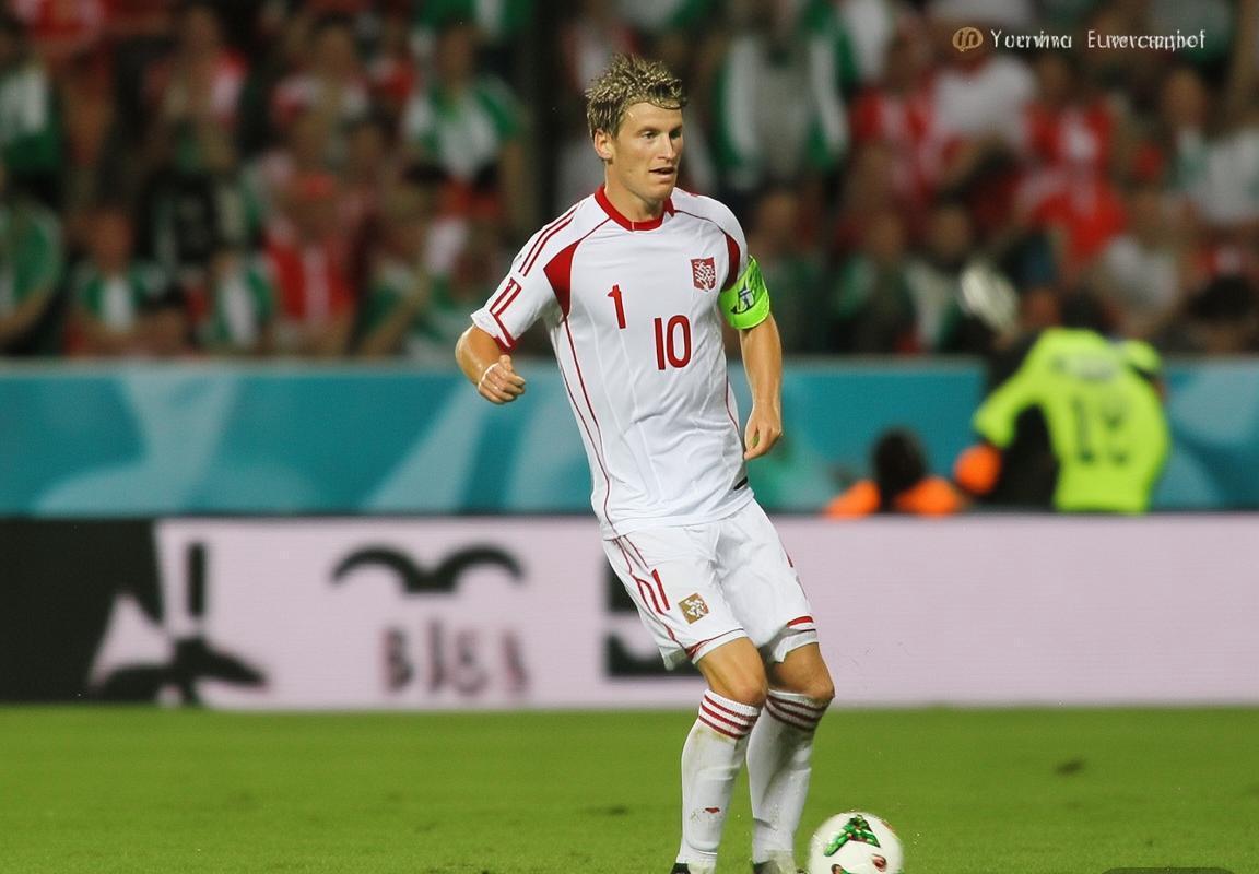 2012欧洲杯丹荷巅峰对决：激情碰撞回顾(图4)