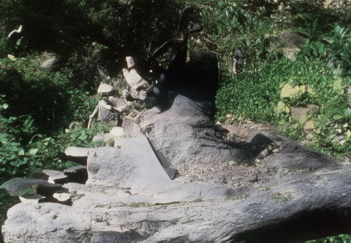 费城联合vs洛杉矶银河：赛前全面分析及胜负预测(图2)