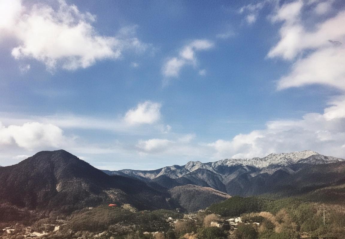 厄瓜多尔VS阿根廷：足球盛宴前的全面分析与预测